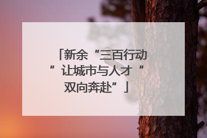 新余“三百行动”让城市与人才“双向奔赴”
