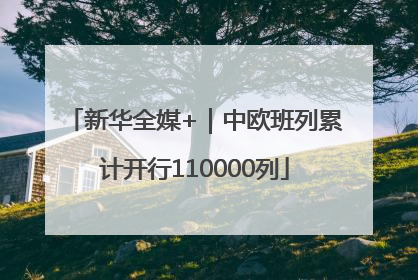 新华全媒+｜中欧班列累计开行110000列