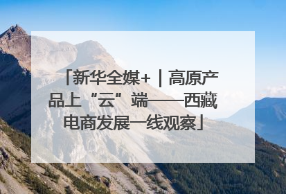 新华全媒+｜高原产品上“云”端——西藏电商发展一线观察