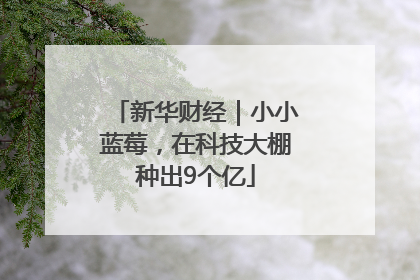 新华财经｜小小蓝莓，在科技大棚种出9个亿