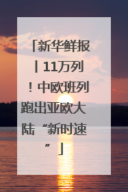新华鲜报丨11万列！中欧班列跑出亚欧大陆“新时速”