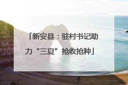 新安县：驻村书记助力“三夏”抢收抢种