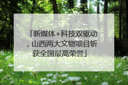 新媒体+科技双驱动，山西两大文物项目斩获全国最高荣誉