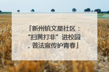 新州镇文星社区：“扫黄打非”进校园，普法宣传护青春