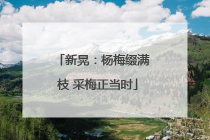 新晃：杨梅缀满枝 采梅正当时