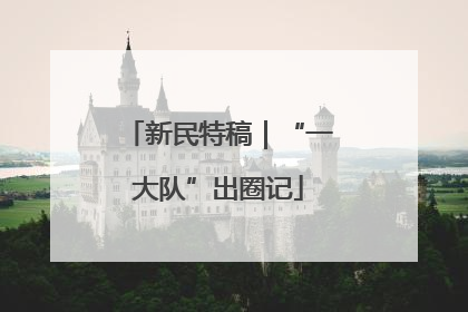 新民特稿｜“一大队”出圈记