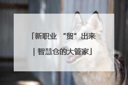 新职业 “贸”出来｜智慧仓的大管家