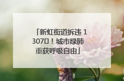 新虹街道拆违 1307㎡！城市绿肺重获呼吸自由