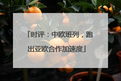 时评：中欧班列，跑出亚欧合作加速度