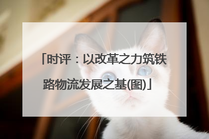 时评：以改革之力筑铁路物流发展之基(图)