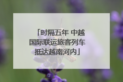 时隔五年 中越国际联运旅客列车抵达越南河内