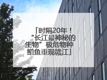 时隔20年！“长江最神秘的生物”极危物种鳤鱼重现赣江