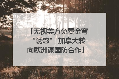 无视美方免费金穹“诱惑” 加拿大转向欧洲谋国防合作