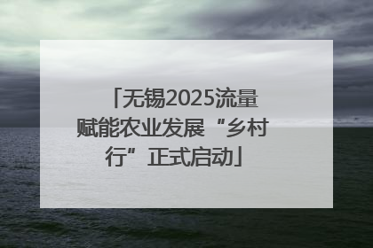 无锡2025流量赋能农业发展“乡村行”正式启动