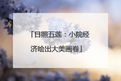 日照五莲：小院经济绘出大美画卷