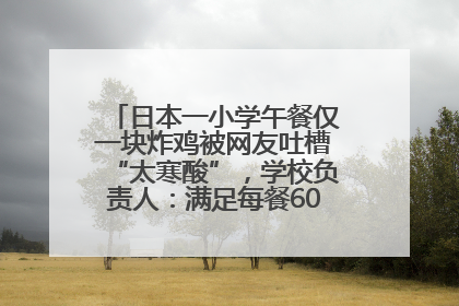 日本一小学午餐仅一块炸鸡被网友吐槽“太寒酸”，学校负责人：满足每餐600千卡的标准