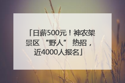 日薪500元！神农架景区 “野人” 热招，近4000人报名