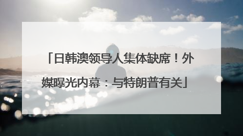 日韩澳领导人集体缺席！外媒曝光内幕：与特朗普有关