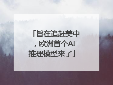 旨在追赶美中，欧洲首个AI推理模型来了