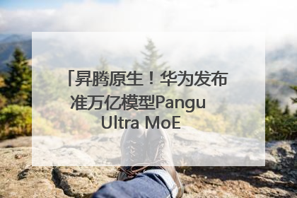 昇腾原生！华为发布准万亿模型Pangu Ultra MoE模型架构和训练细节