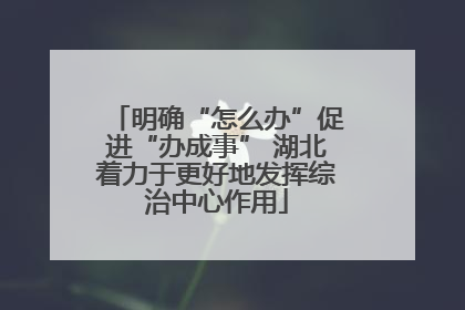明确“怎么办”促进“办成事” 湖北着力于更好地发挥综治中心作用
