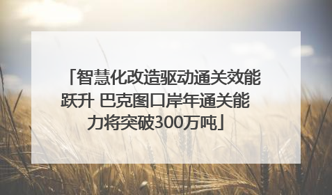 智慧化改造驱动通关效能跃升 巴克图口岸年通关能力将突破300万吨