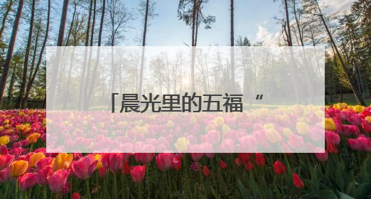 晨光里的五福“治理密码”：跟拍社区巡查，探秘烟火与秩序