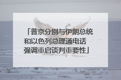 普京分别与伊朗总统和以色列总理通电话 强调重启谈判重要性