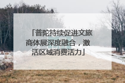 普陀持续促进文旅商体展深度融合，激活区域消费活力