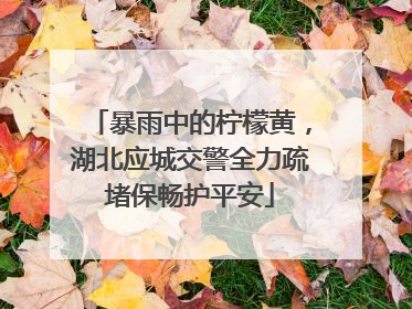 暴雨中的柠檬黄，湖北应城交警全力疏堵保畅护平安