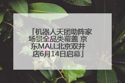 机器人天团助阵家场景全品类覆盖 京东MALL北京双井店6月14日启幕