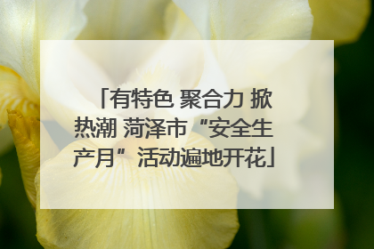有特色 聚合力 掀热潮 菏泽市“安全生产月”活动遍地开花
