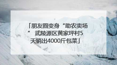 朋友圈变身“助农卖场” 武陵源区黄家坪村5天销出4000斤包菜