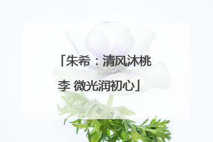 朱希：清风沐桃李 微光润初心