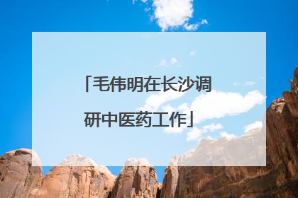 毛伟明在长沙调研中医药工作