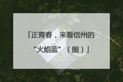 正青春，来看信州的“火焰蓝”（图）