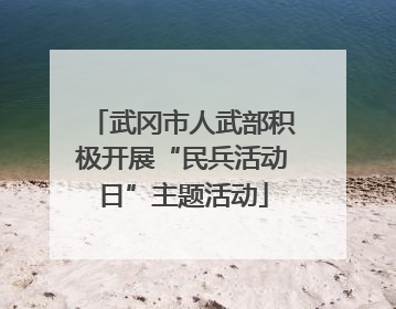 武冈市人武部积极开展“民兵活动日”主题活动