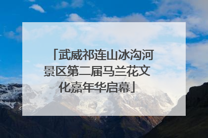 武威祁连山冰沟河景区第二届马兰花文化嘉年华启幕