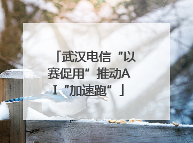 武汉电信“以赛促用”推动AI“加速跑”