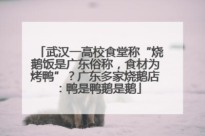 武汉一高校食堂称“烧鹅饭是广东俗称，食材为烤鸭”？广东多家烧鹅店：鸭是鸭鹅是鹅