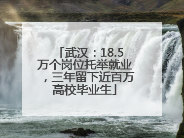 武汉：18.5万个岗位托举就业，三年留下近百万高校毕业生