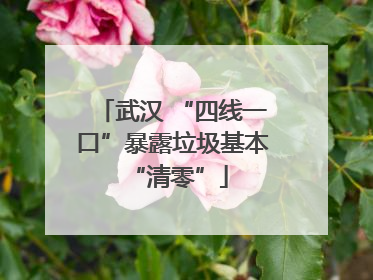 武汉 “四线一口”暴露垃圾基本 “清零”