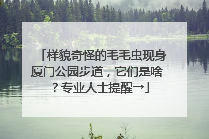 样貌奇怪的毛毛虫现身厦门公园步道，它们是啥？专业人士提醒→