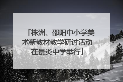 株洲、邵阳中小学美术新教材教学研讨活动在景炎中学举行