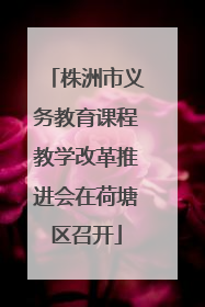 株洲市义务教育课程教学改革推进会在荷塘区召开