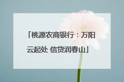 桃源农商银行：万阳云起处 信贷润春山