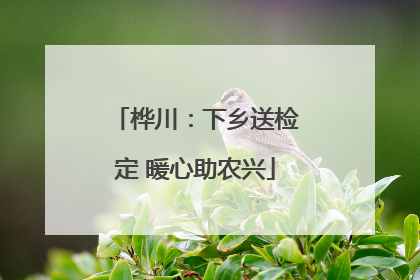 桦川：下乡送检定 暖心助农兴