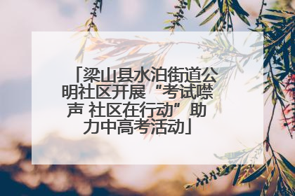 梁山县水泊街道公明社区开展“考试噤声 社区在行动”助力中高考活动