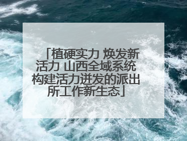植硬实力 焕发新活力 山西全域系统构建活力迸发的派出所工作新生态