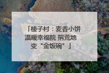 楼子村：麦香小饼温暖幸福院 撂荒地变“金饭碗”